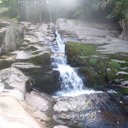 Christine Bunch  - @lovingyou050811 - Twitter