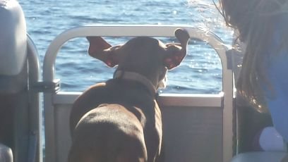 joelhaerter's profile picture. 