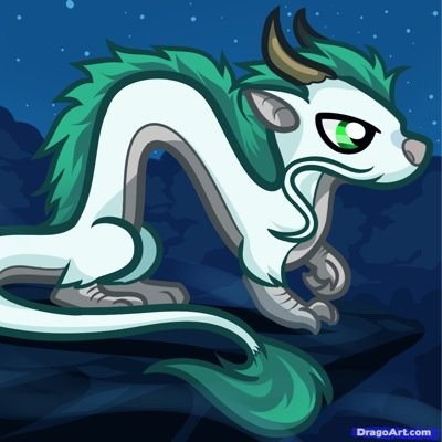 I am a ?? year old male Young night fury/dragon,not alone as always with @NightFuryLeo which is 16 and follow his good instructions.#RP