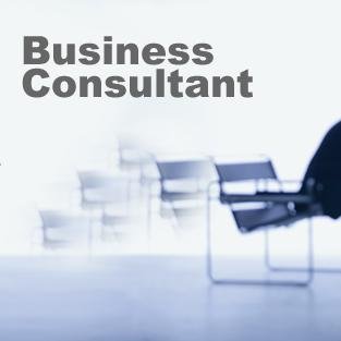  Busines Consultant