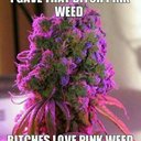 Nathan Salas - @nathansalas123 - Twitter