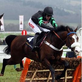 Profitable Horse Racing Systems and Betting Tools