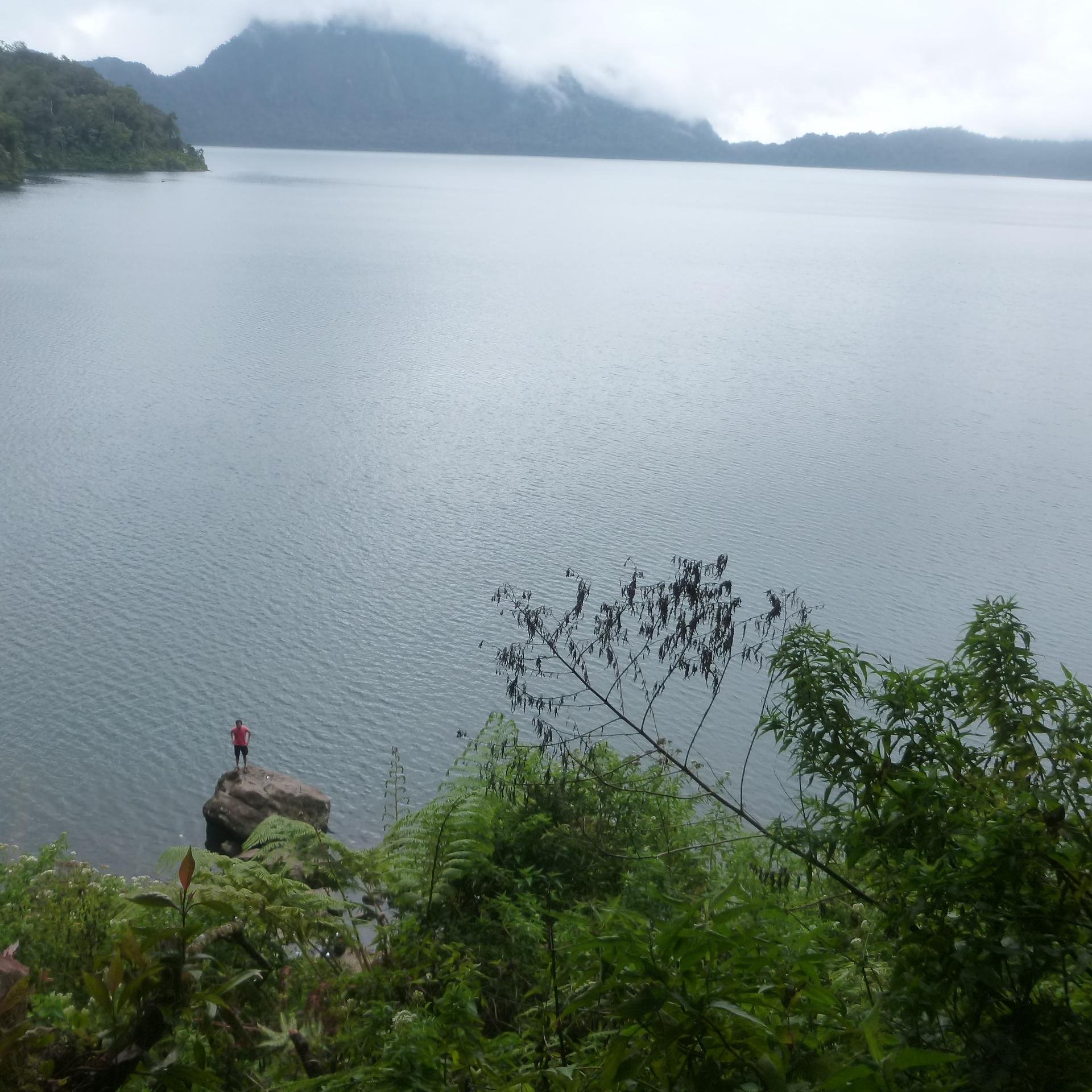 nyari jati di Hutan apa di dalam diri