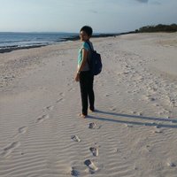 ariesti pritawati (@ariesti) 's Twitter Profile