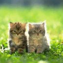 Victor Sheu - @sumtechvictor - Twitter