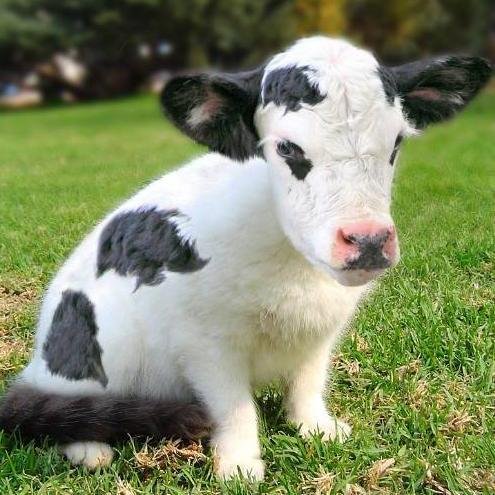 LostHopeLeigh's profile picture. What do you want to know? I can be an open book or as tightly closed as a safe. It is all up to you.