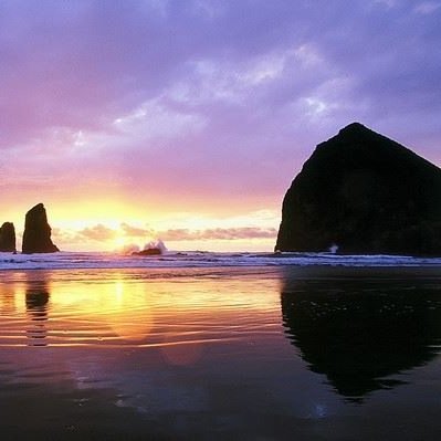 seasilverlining's profile picture. 