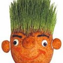 Don Pasto  - @DonPast0 - Twitter