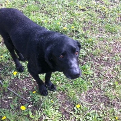 lol8nc's profile picture. Great books by indie authors, shittywebcomics by yours truly and better living thru Reddit.