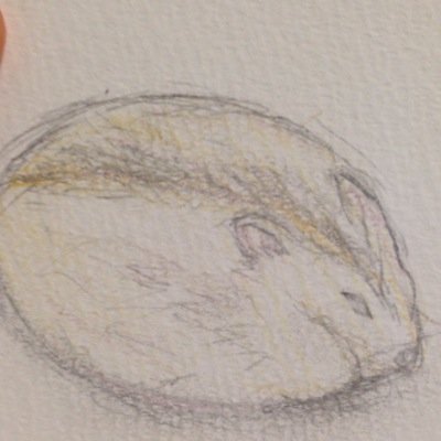 杏夢さんのプロフィール画像