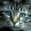 Люблю жизнь, а она меня :) #followback