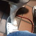 Dominique Schmidt - @Lunamaternus - Twitter