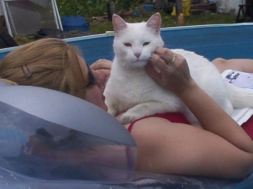 krittykrat's profile picture. 