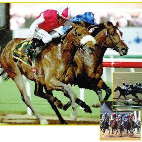 Suttystips aims to give punters the best set of ratings available to assist them in picking value in Australian and International Horse racing.