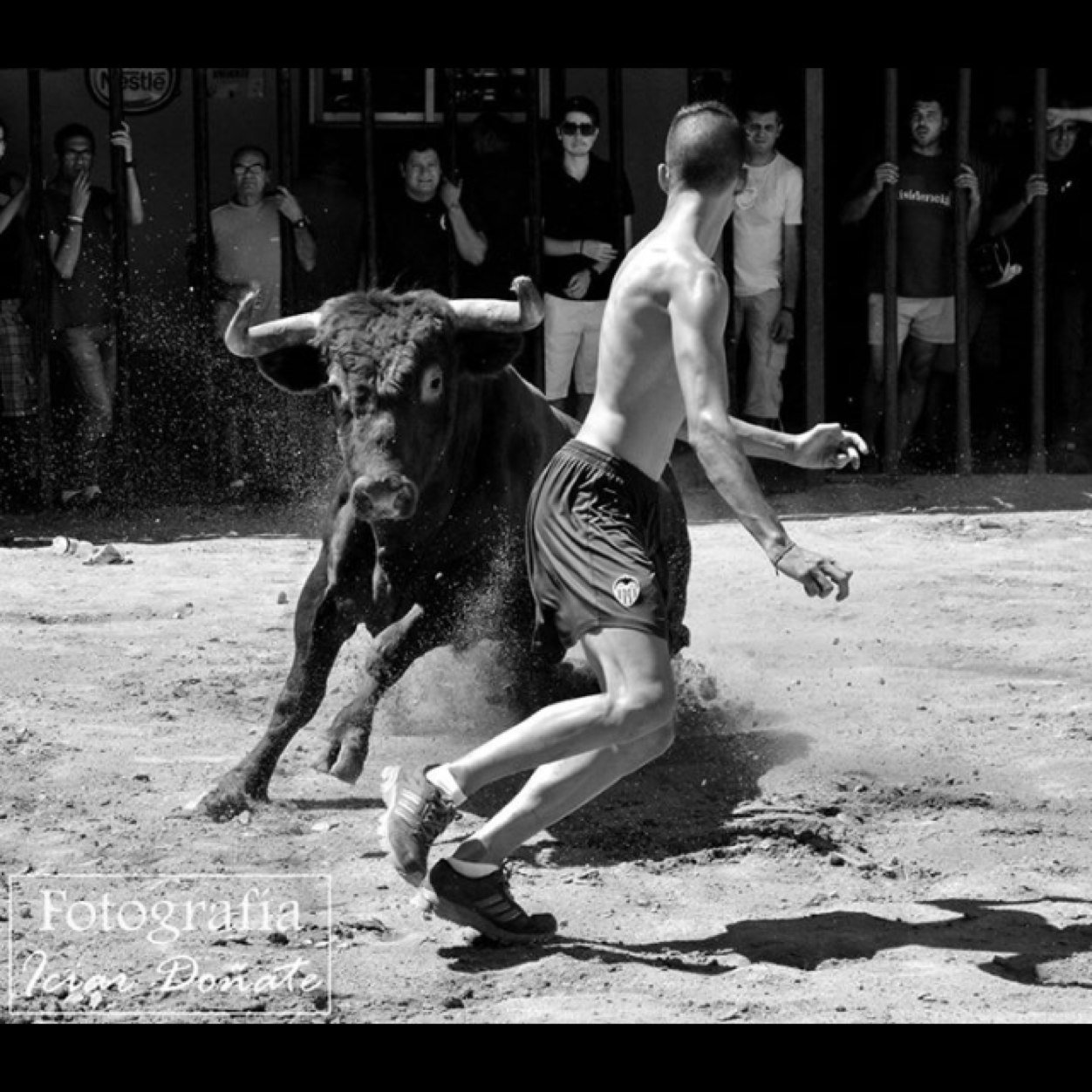 Vivo por y para los toros. Más que una pasión!