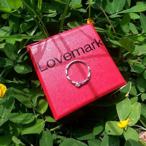 The Lovemark_Philippines is an online jewelry store that promised to deliver  state-of-the-art silver jewelry.