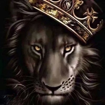 78aries's profile picture. 