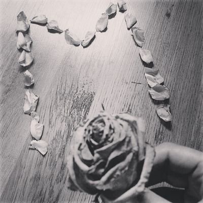 ‏‏‏‏‏‏‏‏‏‏‏‏‏‏فتاة عشرينيه تعيش في مجتمع لن يغفر غلطك وادعئ ميرو ديفيد كاميرون من سكان المحيط الهادي واتصف بالهدوء نسبة الئ محيطي # الخاص مهمل
