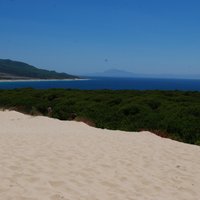 Carmona Cuenca (@ecarmona5) 's Twitter Profile