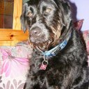 Dave Feldman - @davefeldman13 - Twitter