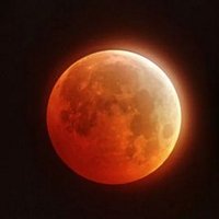 danny MacCuish (@c017e77ca15746e) 's Twitter Profile