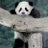 tanyadoank13's profile image