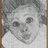 frankaurel's profile image