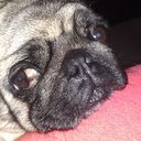 paula sutherland - @paulamadhead - Twitter