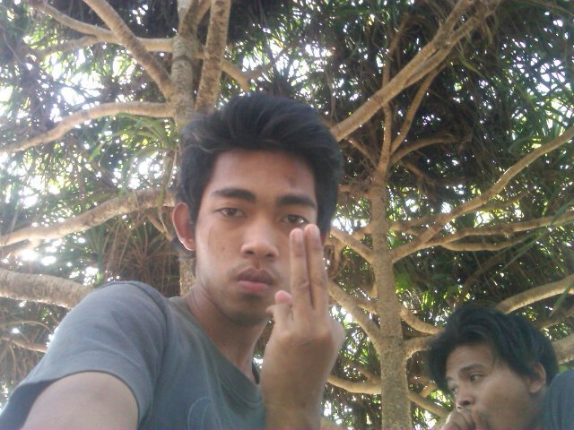 Tentukan pilihan mu dri skaranx