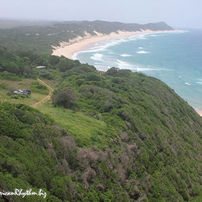 ElephantCoastZA's profile picture. Biodiversity news on the Elephant Coast