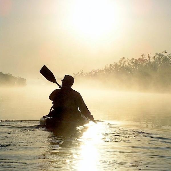 kk2772's profile picture. RTs not endorsement.