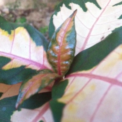 Nice678900's profile picture. 