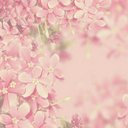 ellen reyes - @glorianejoselle - Twitter