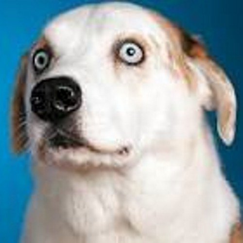 ThaboPretty's profile picture. 