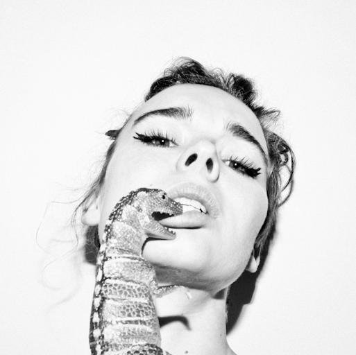 Photographer / Artist / Director / Writer
Wolf James Creative
Animals Included As Standard