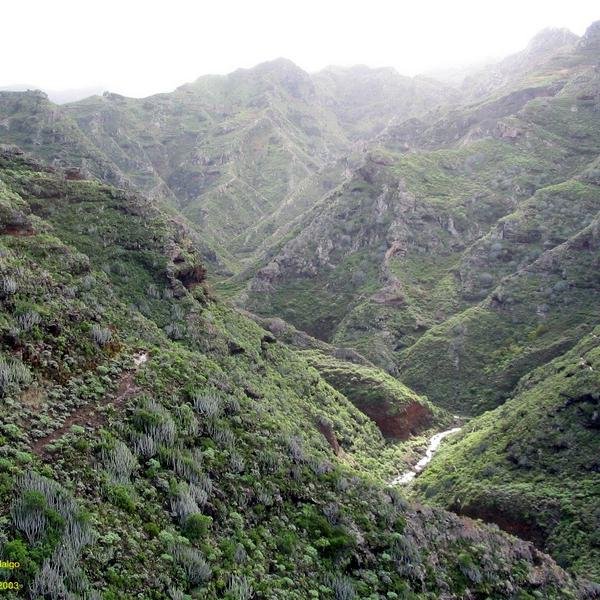 ANAGATOUR's profile picture. 