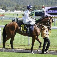 Racehorse owner who naturally enjoys racing and all the colour and theatre that comes with it.