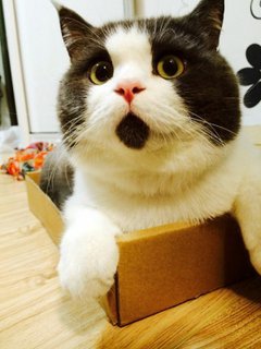 OudWasana's profile picture. 