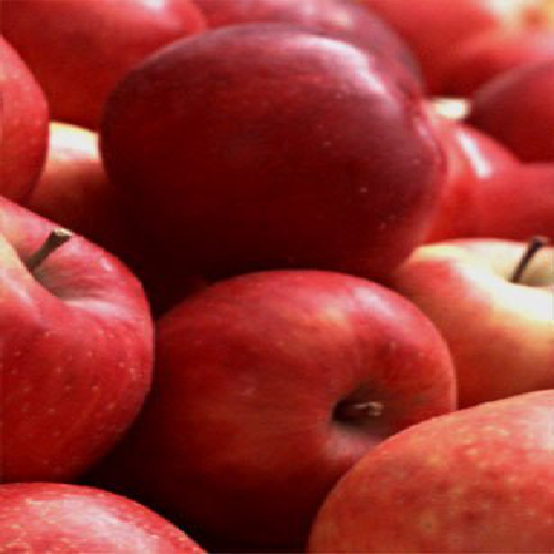 efos_oqurawik's profile picture. 