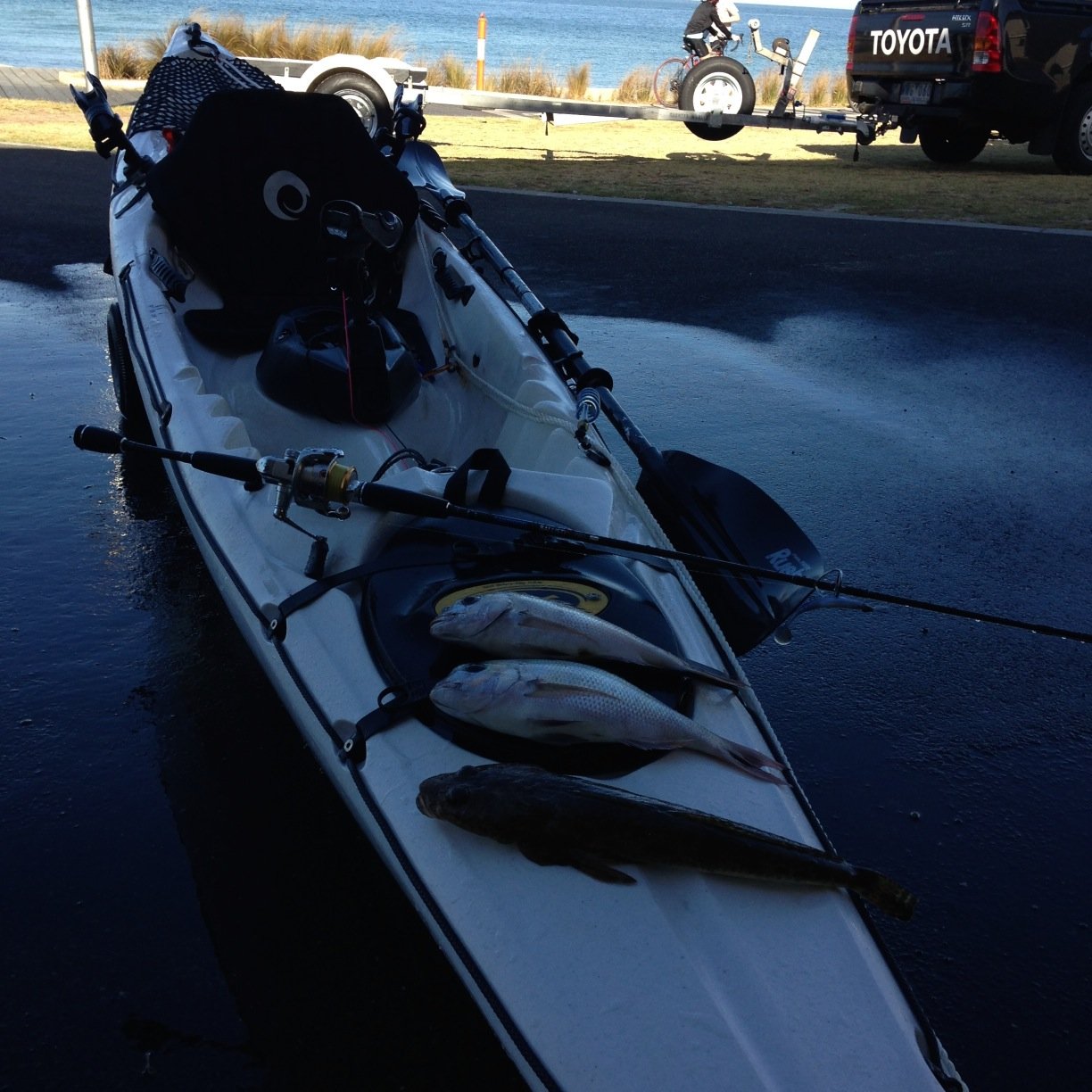 Fishing and lifestyle blog