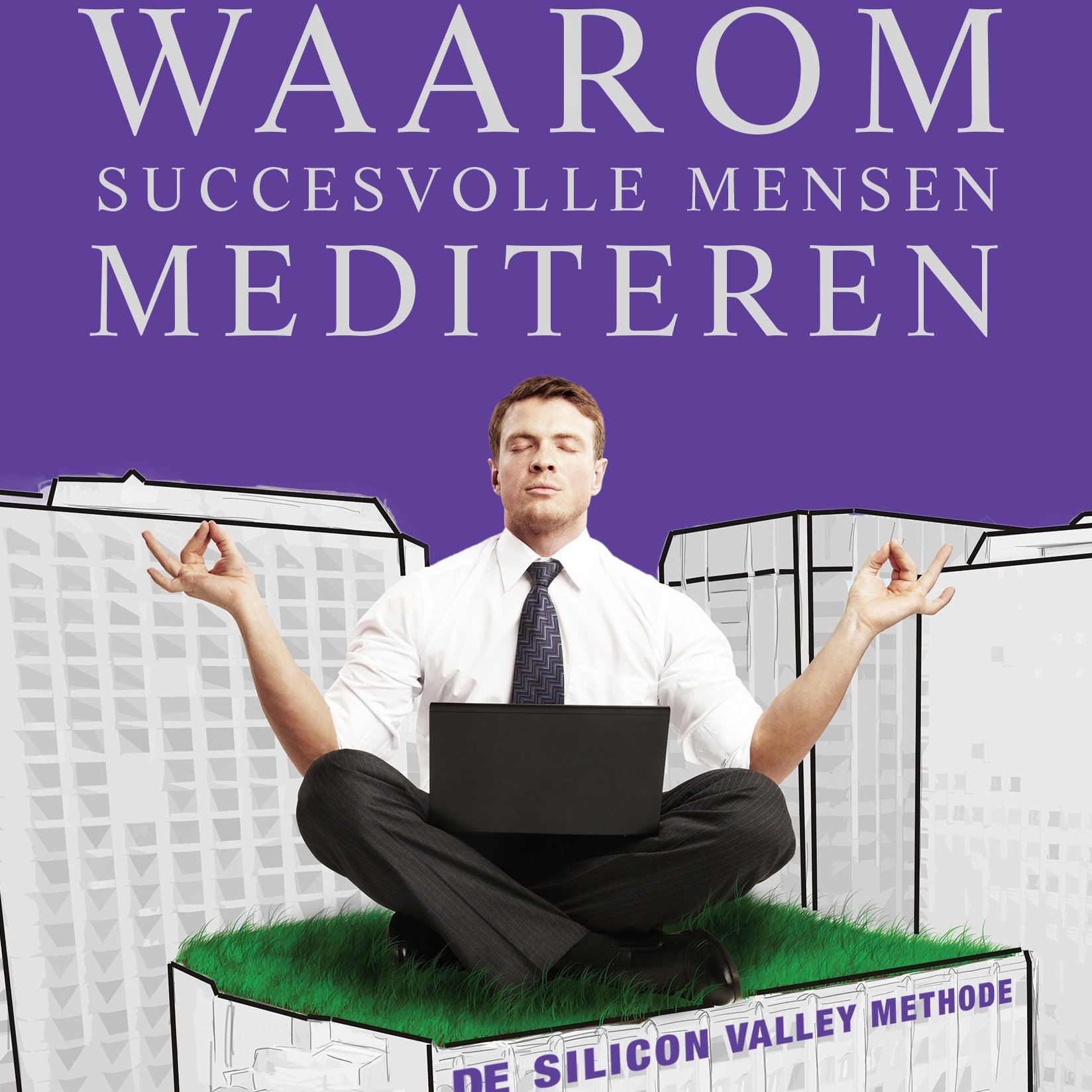 Succesvolle mensen zijn stressbestendiger, energieker en creatiever. 
De Silicon Valley Methode helpt je om deze doelen te realiseren. ISBN: 9789079677214