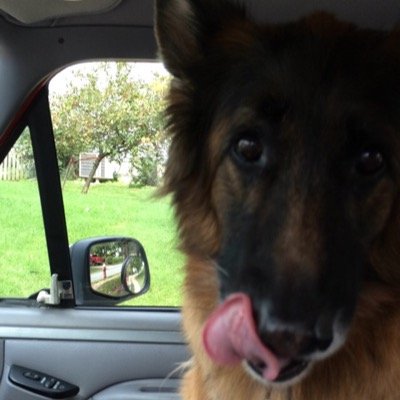 FFsmiley's profile picture. fightin fires