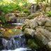 Aquascapes of CT (@aquascapesofct) Twitter profile photo