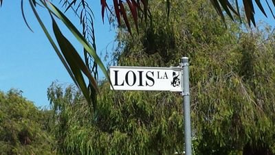 m1shf1sh1's profile picture. nosy parker. chair collector. lover of letters. of course my views are my own!