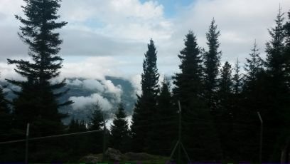 olumunesalladim's profile picture. 