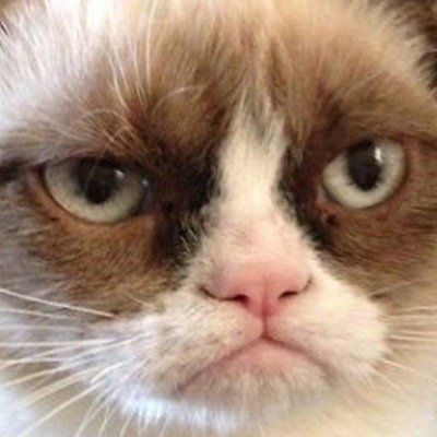 blubkens's profile picture. 