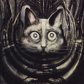 nekotikva's profile picture. Nací, crecí, no me reproduciré y moriré eventualmente.