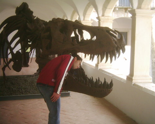 JMPGalrito's profile picture. 