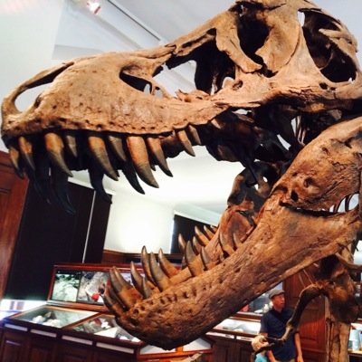 LineModin's profile picture. MD, Ph.D., Clinical Research Fellow at Birmingham Children's Hospital. About work as a pediatrician in spe, research, BCH, and random life.