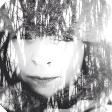 rainbowfizzbee's profile picture. 